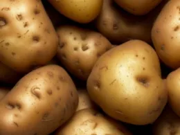 Ile kalorii mają ziemniaki?