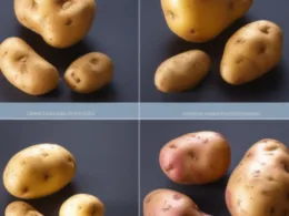 Ile kcal ma jeden ziemniak?
