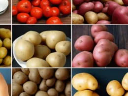 Ile kcal mają ziemniaki